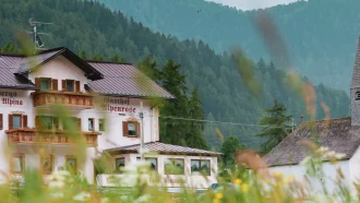 alpenrose.jpg